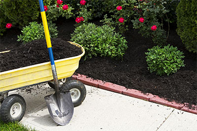 How to Maintain Your Landscapes Holly Hill, FL